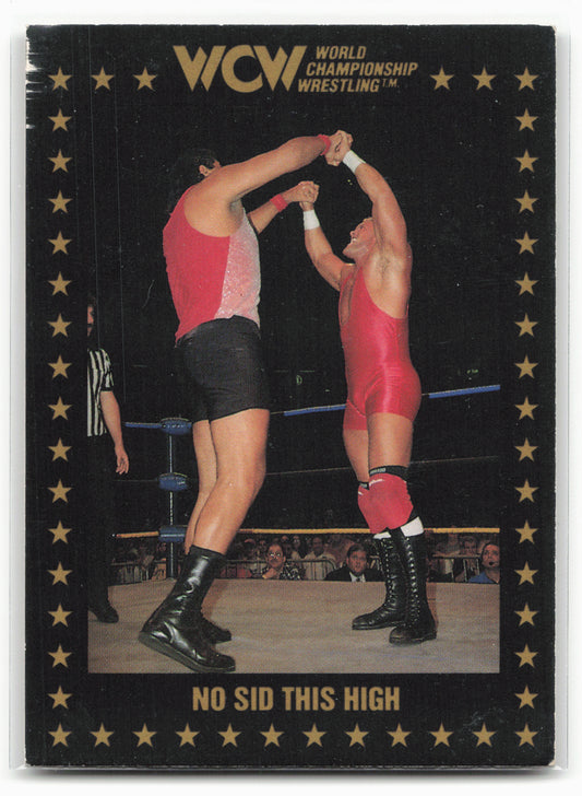 1991 Championship Marketing WCW #64 No Sid This High