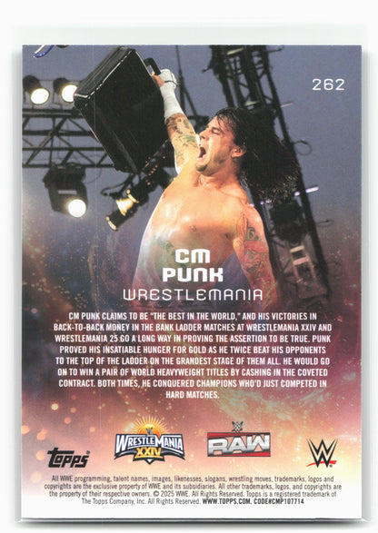 2025 Topps Universe WWE #262 CM Punk