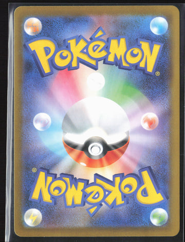 #110/080 Lumiose City Holo 27200