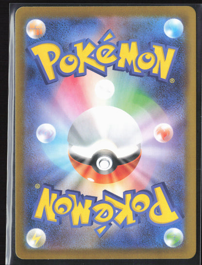 #110/080 Lumiose City Holo 27200