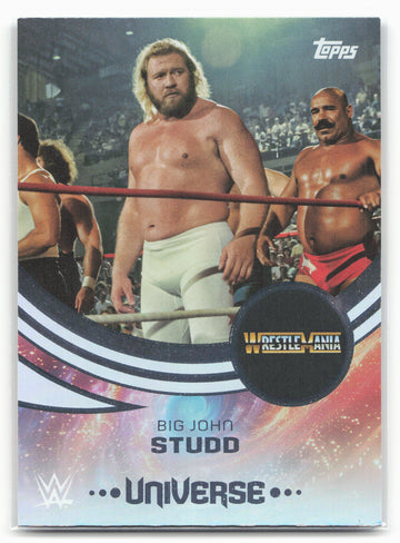 
2025 Topps Universe WWE #221 Big John Studd