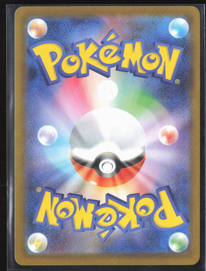 #064/063 Shuckle 27653 Holo