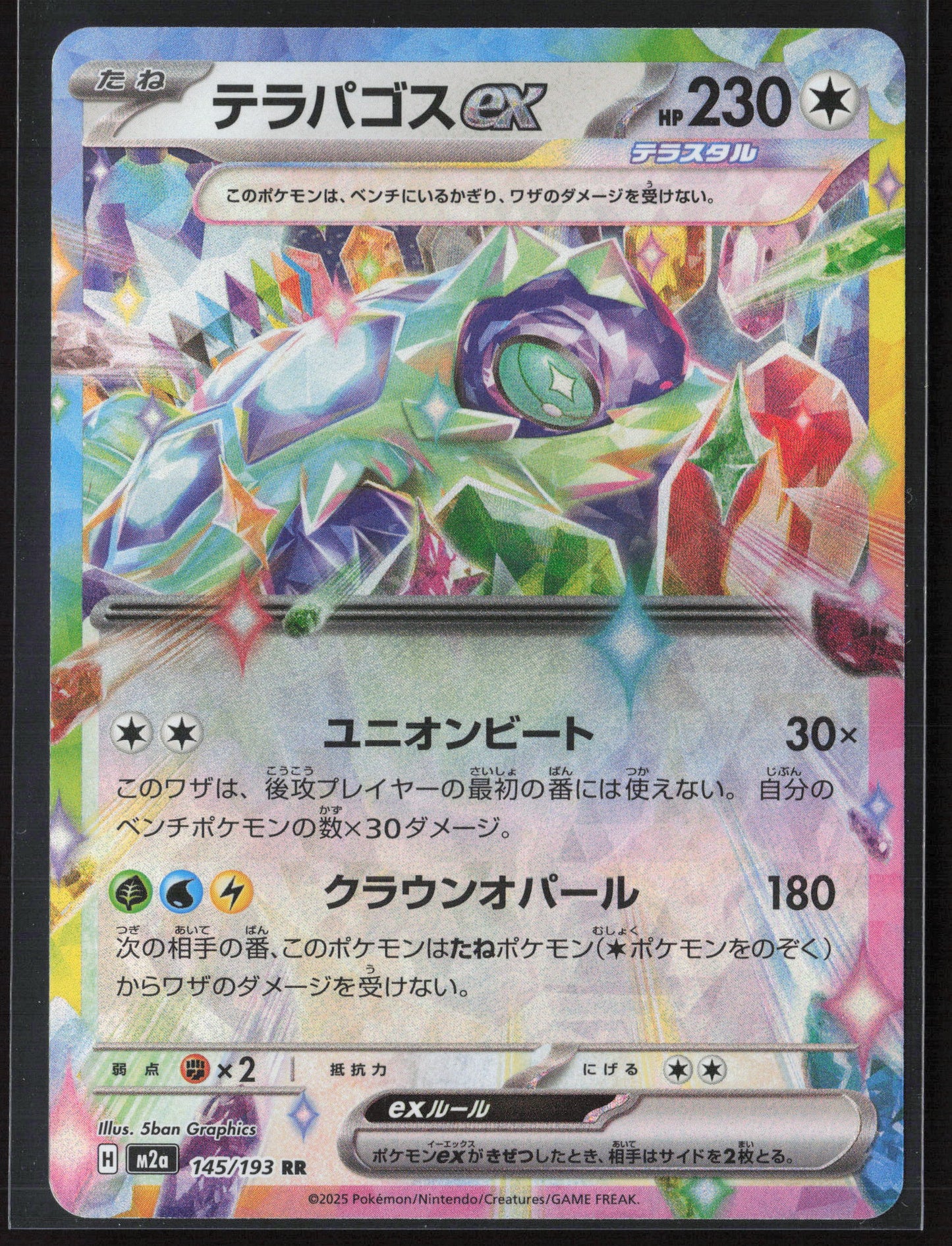 #145/193 Terapagos ex Holo 27677