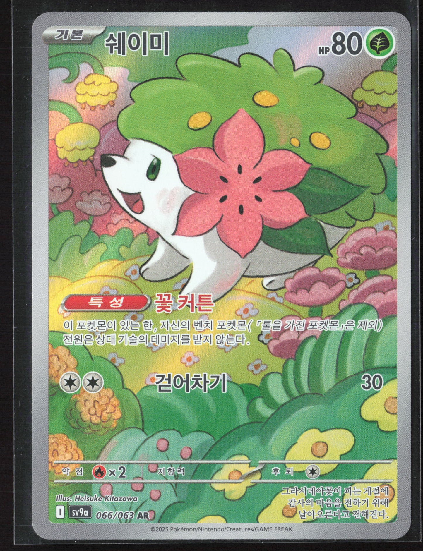 #066/063 Shaymin Holo 27769