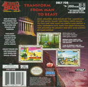 
Altered Beast Guardian of the Realms Nintendo Game Boy Advance back cover