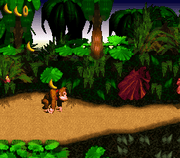 
Donkey Kong Country SNES gameplay screenshot 3