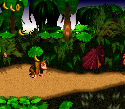 
Donkey Kong Country SNES gameplay screenshot 3