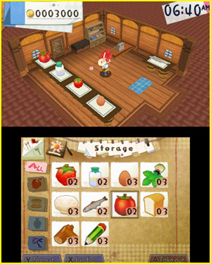 
Hometown Story | Nintendo 3DS | gameplay screenshot 3 | fishing