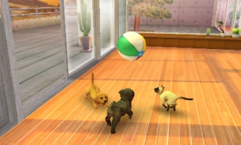 
Nintendogs + Cats: Golden Retriever & New Friends | Nintendo 3DS | gameplay screenshot 2