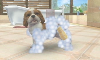 
Nintendogs + Cats: Golden Retriever & New Friends | Nintendo 3DS | gameplay screenshot 4