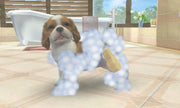 
Nintendogs + Cats: Golden Retriever & New Friends | Nintendo 3DS | gameplay screenshot 4