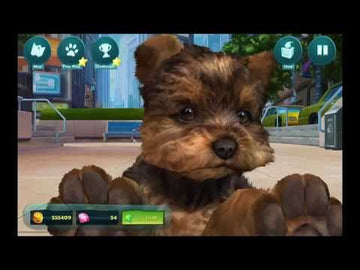 Kinectimals | Xbox 360 | gameplay video 3 | region=North America | zypher-v2 | Data by MobyGames.com