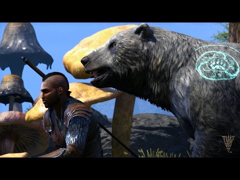 The Elder Scrolls Online: Morrowind | Xbox One | gameplay video 5 | Region: North America | Data by MobyGames.com