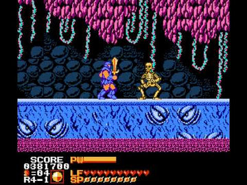 
Astyanax | NES | Nintendo Entertainment System | gameplay | catalog reconciliation | identity checked against live provider metadata