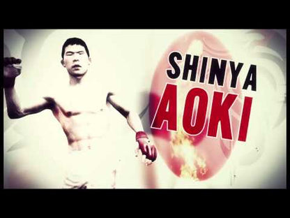 EA Sports MMA | Xbox 360 | official/gameplay video 5 | region=North America | zypher-video-v2