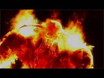 
Demon's Souls | PlayStation 3 | gameplay video 2 | Data by MobyGames.com