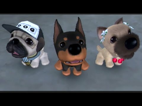 
The Dog Island | Wii | gameplay