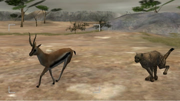 
Wild Earth: African Safari Nintendo Wii gameplay screenshot 1