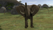 
Wild Earth: African Safari Nintendo Wii gameplay screenshot 3