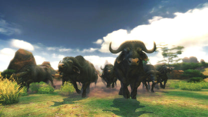 
Cabela's African Adventures | Wii | supplemental product media | amazon-fb9206bde039