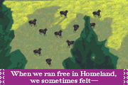 
Spirit: Stallion of the Cimarron | Game Boy Advance | gameplay screenshot | Data by MobyGames.com