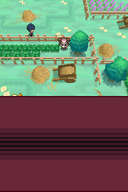 
Pokémon White Version 2 | Nintendo DS | gameplay screenshot | Data by MobyGames.com