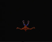 
Crash Bandicoot: The Wrath of Cortex | PlayStation 2 | gameplay screenshot | Data by MobyGames.com