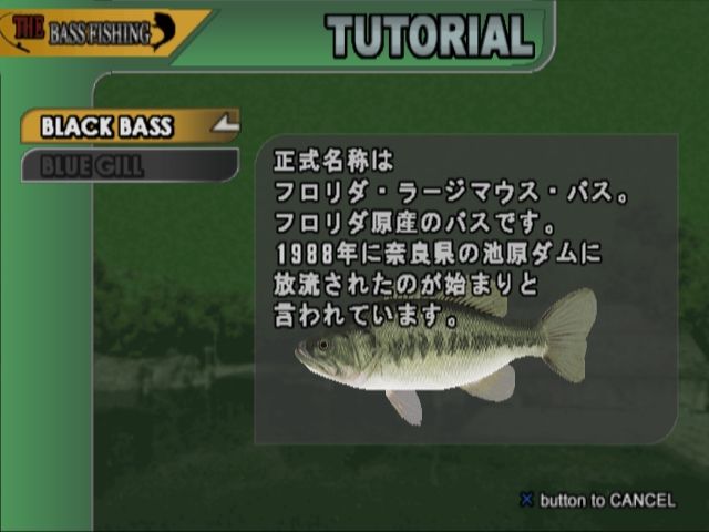 Fisherman's Bass Club | PlayStation 2 | gameplay screenshot | region=North America | source-country= | zypher-v2 | moby-87317deea516 | Data by MobyGames.com