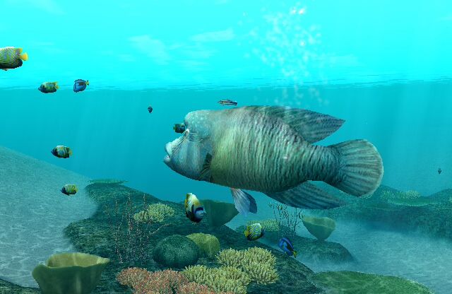 Endless Ocean: Blue World | Wii | gameplay screenshot | Data by MobyGames.com