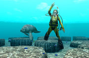 
Endless Ocean: Blue World | Wii | gameplay screenshot | Data by MobyGames.com