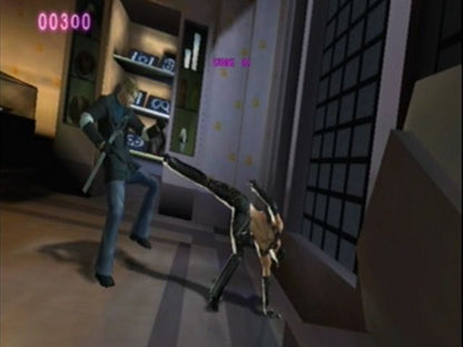 
Catwoman | GameCube | gameplay screenshot | Data by MobyGames.com