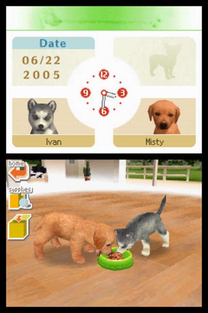 Nintendogs: Lab & Friends | Nintendo DS | gameplay screenshot | region=North America | source-country= | zypher-v2 | moby-13dfa4e3ff50 | Data by MobyGames.com