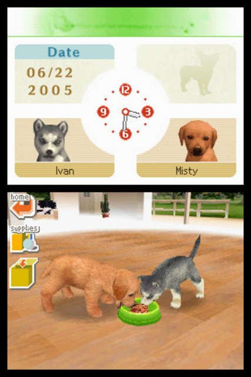 Nintendogs: Lab & Friends | Nintendo DS | gameplay screenshot | region=North America | source-country= | zypher-v2 | moby-13dfa4e3ff50 | Data by MobyGames.com