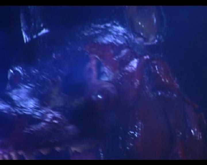 
Resident Evil: Director's Cut (Greatest Hits) | PlayStation | gameplay screenshot | Data by MobyGames.com