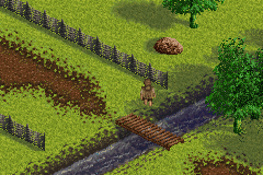 
The Lord of the Rings: The Fellowship of the Ring | Game Boy Advance | gameplay screenshot | Data by MobyGames.com