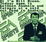 NHL 95 | Game Boy | gameplay screenshot | region=North America | source-country= | zypher-v2 | moby-6678eb4897d5 | Data by MobyGames.com