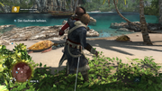 
Assassin's Creed IV: Black Flag | Xbox One | gameplay screenshot | Data by MobyGames.com