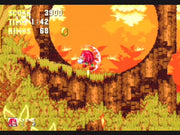 Sonic Mega Collection | GameCube | gameplay screenshot | region=North America | source-country= | zypher-v2 | moby-7d40900f6fa0 | Data by MobyGames.com