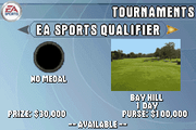 
Tiger Woods PGA Tour 2004 | Game Boy Advance | gameplay screenshot | Data by MobyGames.com