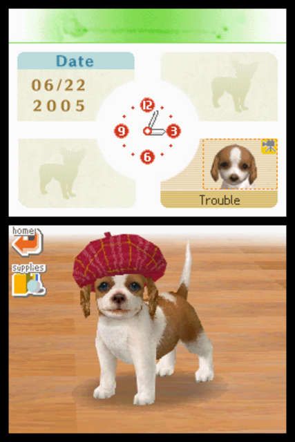 Nintendogs: Lab & Friends | Nintendo DS | gameplay screenshot | region=North America | source-country= | zypher-v2 | moby-965a215745da | Data by MobyGames.com