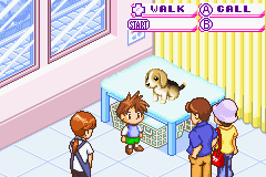 
Dogz | Game Boy Advance | gameplay screenshot | Data by MobyGames.com