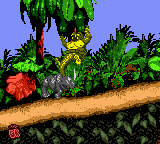 
Donkey Kong Country | Game Boy Color | gameplay screenshot | Data by MobyGames.com
