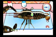 
Cooking Mama: Cook Off | Wii | gameplay screenshot | Data by MobyGames.com