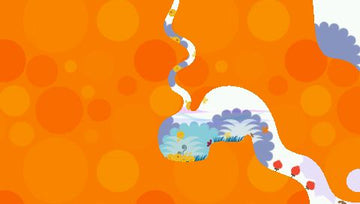 
LocoRoco | PSP | gameplay screenshot | Data by MobyGames.com