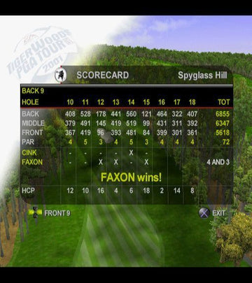 Tiger Woods PGA Tour 2001 | PlayStation 2 | gameplay screenshot | region=North America | source-country= | zypher-v2 | moby-f07a4605014b | Data by MobyGames.com