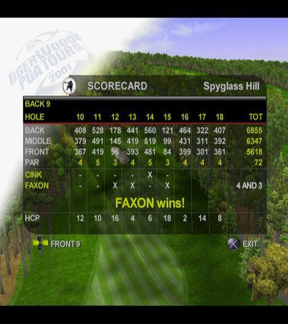 Tiger Woods PGA Tour 2001 | PlayStation 2 | gameplay screenshot | region=North America | source-country= | zypher-v2 | moby-f07a4605014b | Data by MobyGames.com