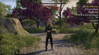 
The Elder Scrolls Online: Summerset | Xbox One | gameplay screenshot | Region: North America | source-country= | Data by MobyGames.com