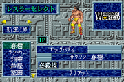 
Fire Pro Wrestling | Game Boy Advance | gameplay screenshot | Data by MobyGames.com