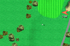 Tiger Woods PGA Tour 2004 | Game Boy Advance | gameplay screenshot | Data by MobyGames.com