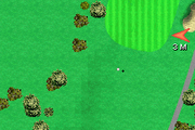 
Tiger Woods PGA Tour 2004 | Game Boy Advance | gameplay screenshot | Data by MobyGames.com